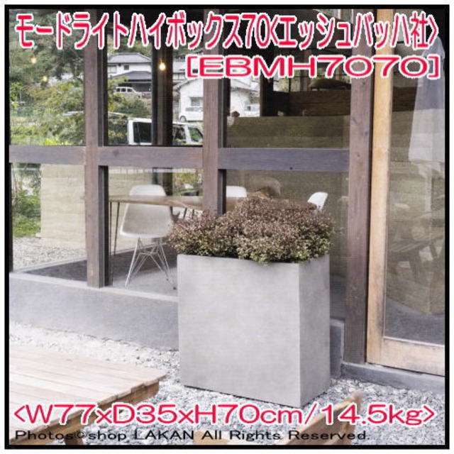 無機質 エッシュバッハ社 モードライト 植木鉢 