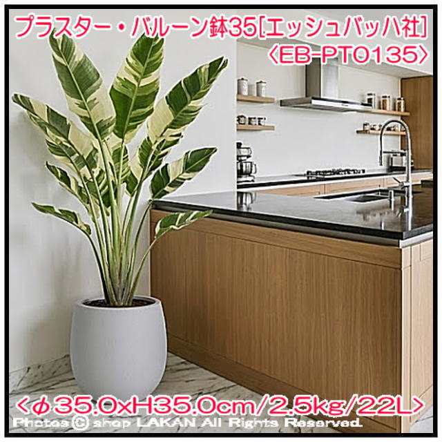 プラスター グラスファイバー植木鉢 軽量樹脂鉢 