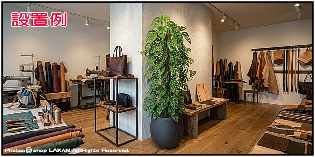 人気 樹脂鉢 EB-PT0142 高級感 質感 