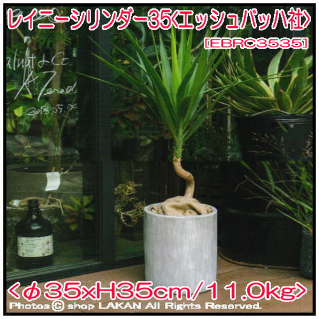 エッシュバッハ 陶器 テラコッタ製 植木鉢 