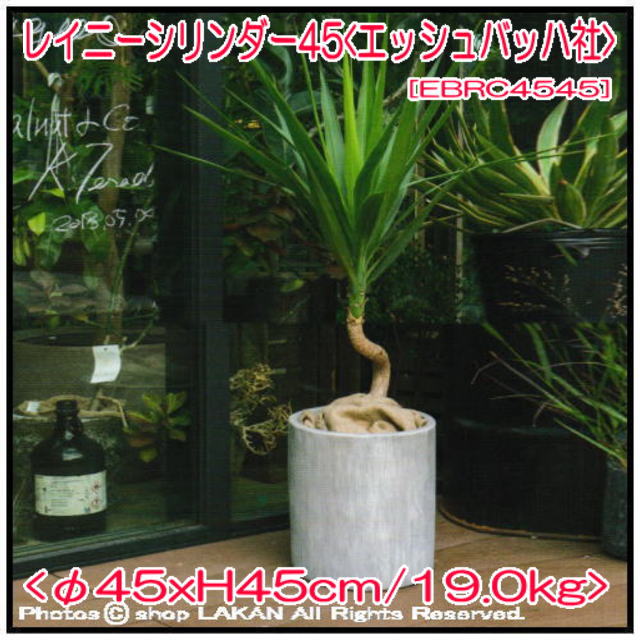 エッシュバッハ 陶器 テラコッタ製 植木鉢 