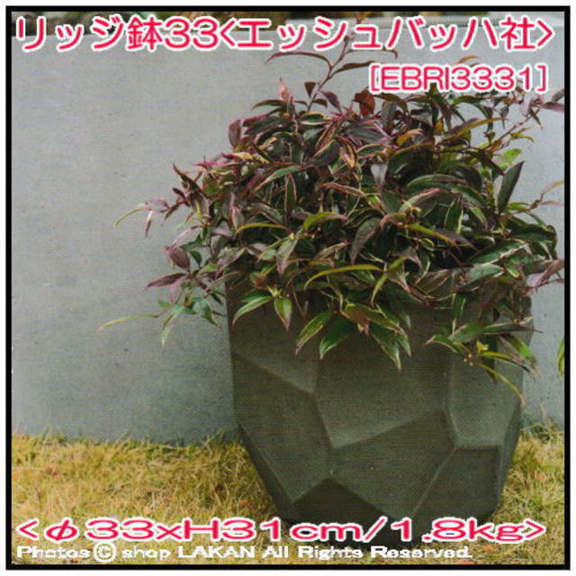 リッジ グラスファイバー 植木鉢