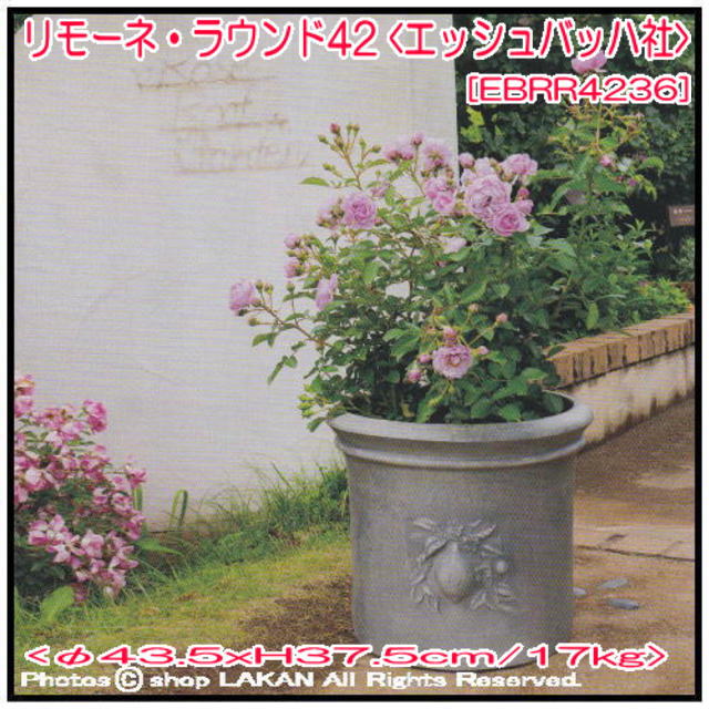 エッシュバッハ 陶器 テラコッタ製 植木鉢 