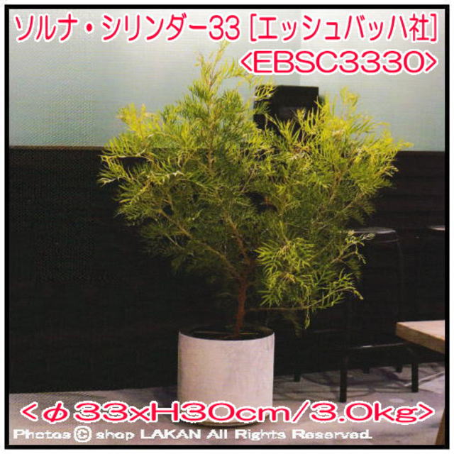 人気 樹脂鉢 ソルナ 人気 円筒型 植木鉢 