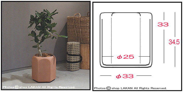 樹脂製植木鉢 大型 グラスファイバー 人気鉢 