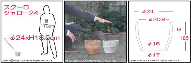 8935078040158 シャロ―  スクーロ 