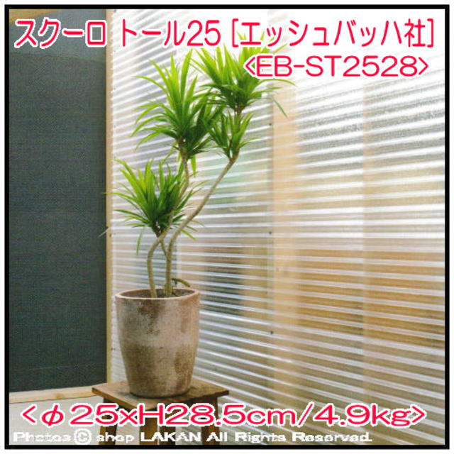 コンクリート製 植木鉢 スクーロ 