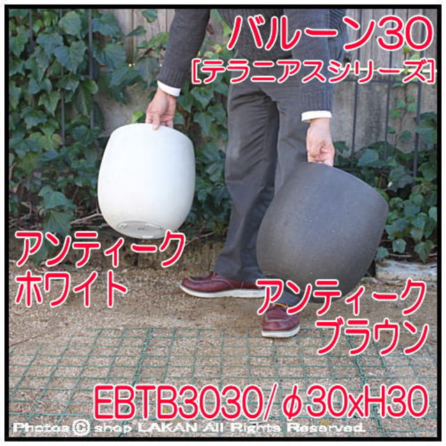 テラニアス バルーン グラスファイバー製 