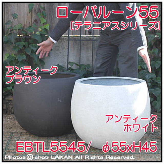 テラニアス ローバルーン グラスファイバー 