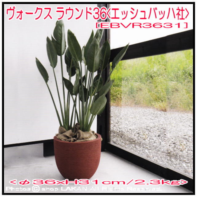 ヴォークス φ36 3631 樹脂製植木鉢 