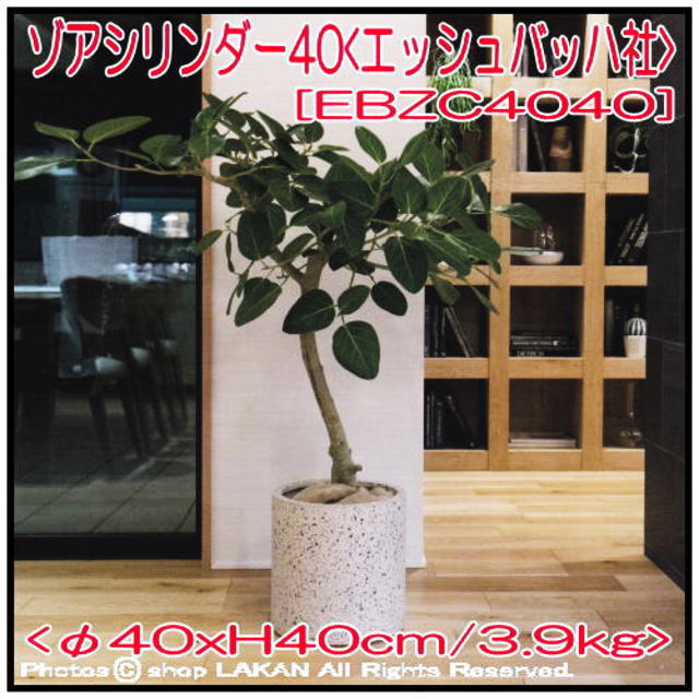 ゾア グラスファイバー 植木鉢 シリンダー 