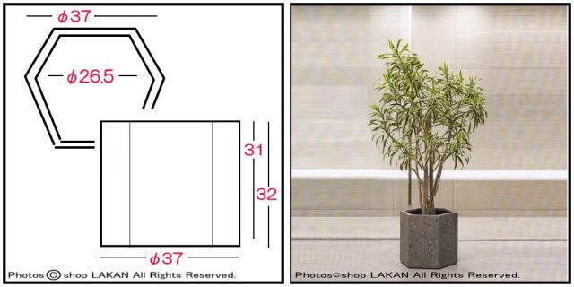 グラスファイバー製 ヘキサゴン37 ガーデニング鉢 