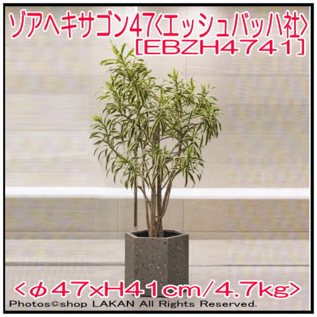 植木鉢 ヘキサゴン ゾアシリーズ グラスファイバー製 