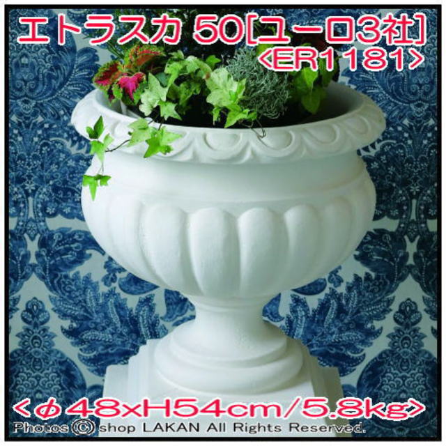エトラスカ ユーロ３社 カップ型鉢 人気 