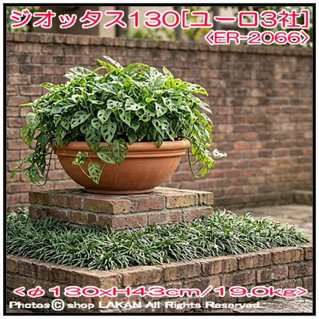 ジオッタス ER-2066 広口碗型鉢 高級輸入樹脂植木鉢 