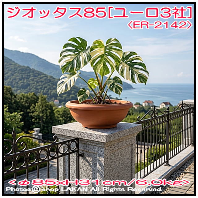 ジオッタス ER-2142 碗型 高級輸入樹脂植木鉢
