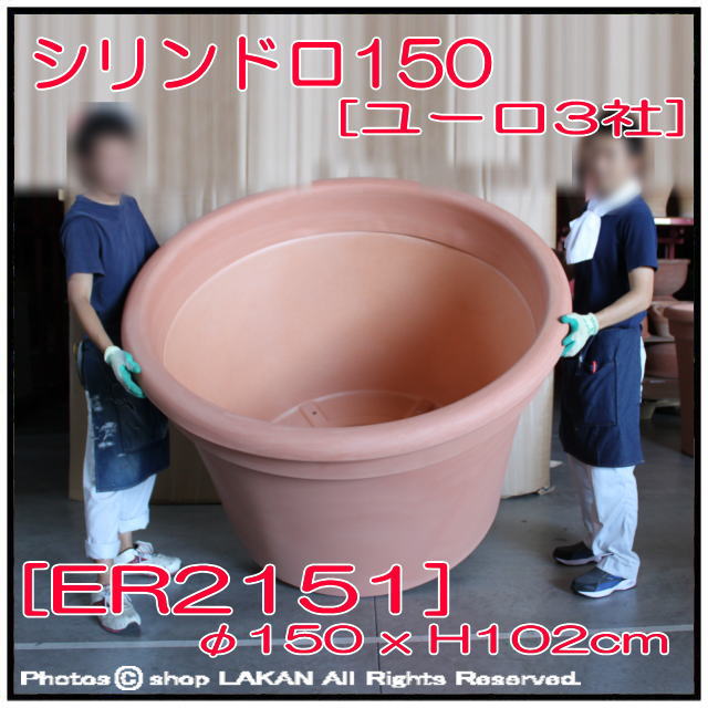 古い鉢 豊明園 / 3144,波千鳥 錦鉢 外径約11.7cm 新古？