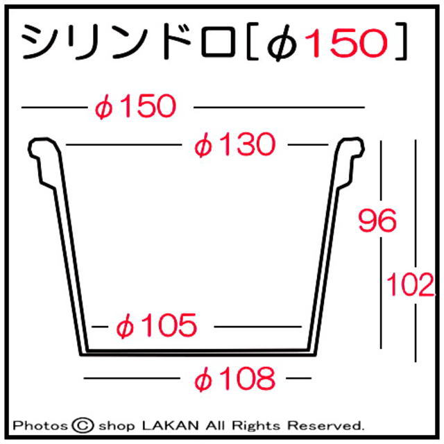 シリンドロ 大型樹木 特大サイズ 