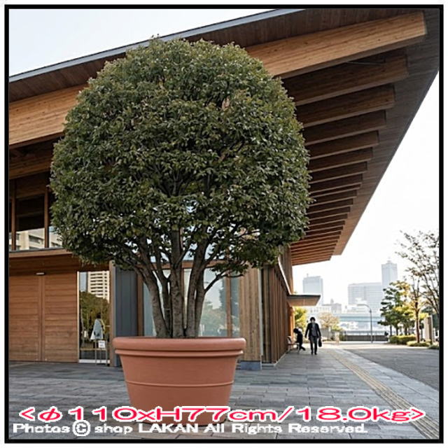 ユーロ3社 松尾貿易 大型 植木鉢 