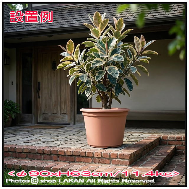 高級 輸入 樹脂植木鉢 シリンドロ 大型 