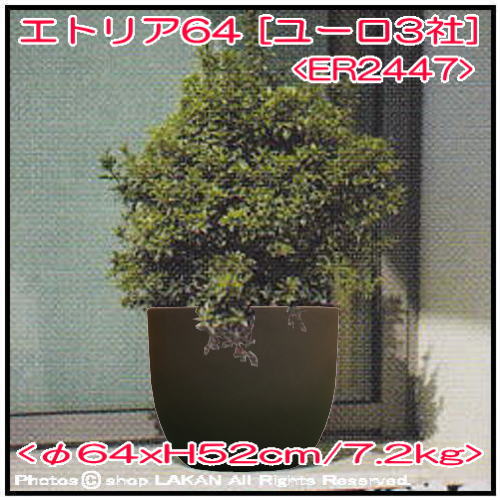  ユーロ３　エトリア　イタリア　ポリエチレン樹脂製　