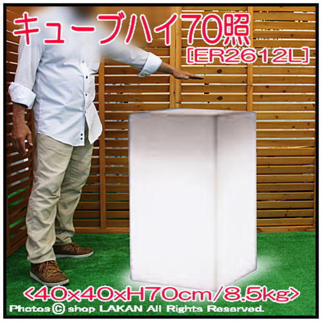 ユーロ3社 ライト付 ER-2612L キューブハイ 