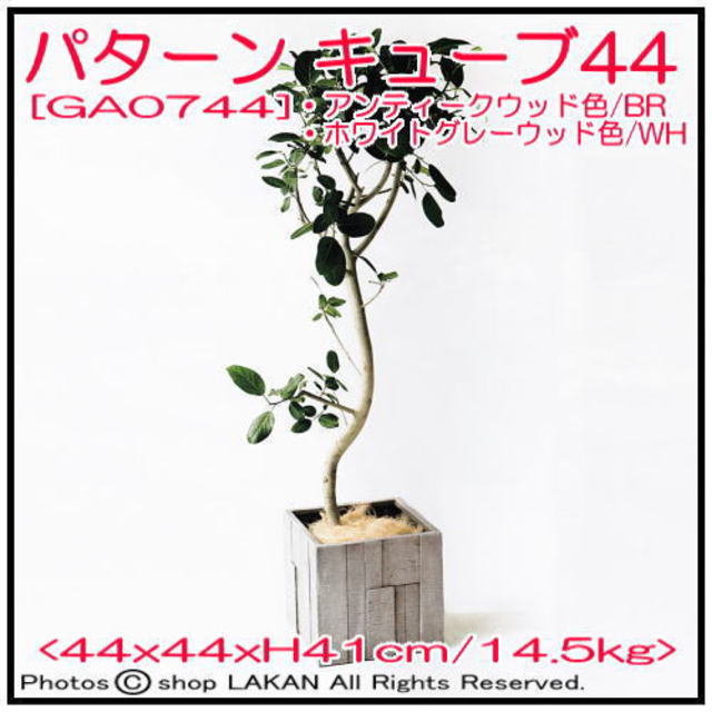 木調植木鉢 キューブ型44 パターンシリーズ