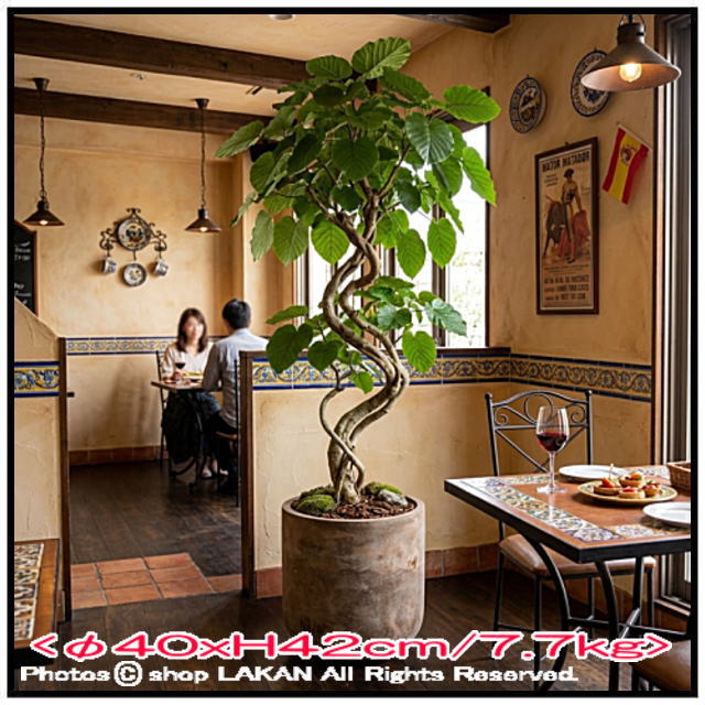 ファントム ファイバークレイ 植木鉢 