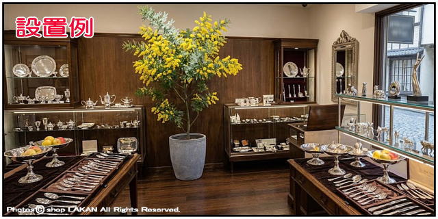 樹脂製植木鉢 大型 グラスファイバー 人気鉢 