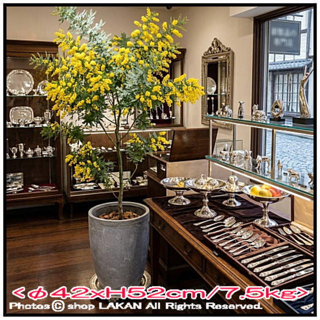 ファントム ファイバークレイ 植木鉢