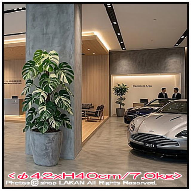 ファントム ファイバークレイ 植木鉢 
