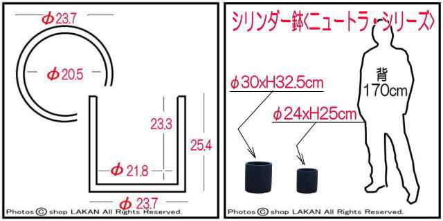 軽量 大型 エイリアス 輸入鉢
