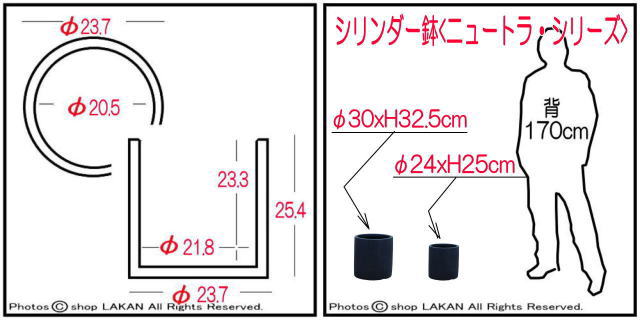 軽量 大型 エイリアス 輸入鉢 