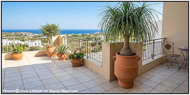 テラコッタ鉢 ピサーリ 輸入 松尾貿易 