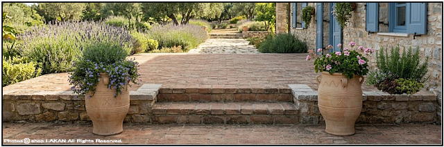 ハンドメイド 素朴 ギリシア テラコッタ鉢 