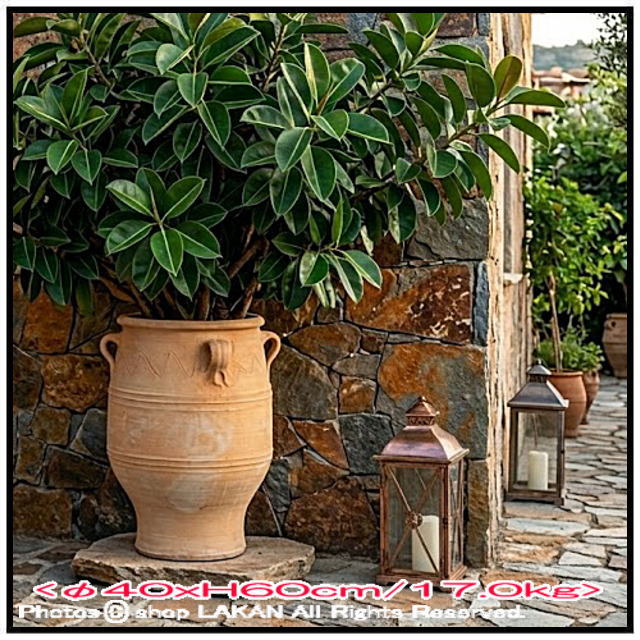 輸入 テラコッタ鉢 ピサーリ 素焼き鉢 