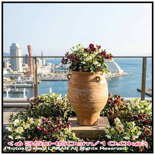 輸入 テラコッタ鉢 クレタ島 ピサーリ 