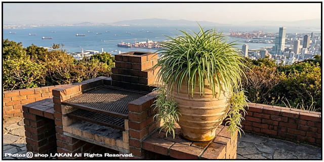 植木鉢 異国情緒 エキゾティック 