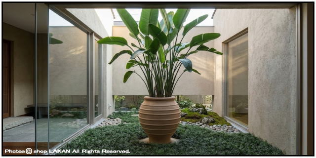 植木鉢 異国情緒 エキゾティック 