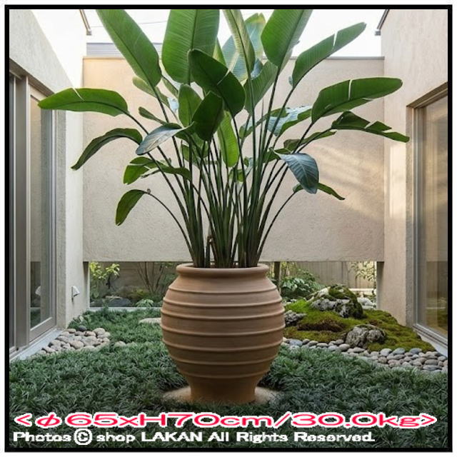 テラコッタ鉢 クレタ島 植木鉢 