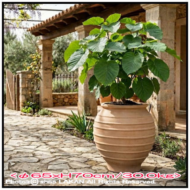 ハンドメイド 植木鉢 コロニオス 