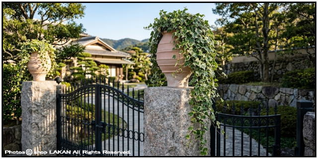 植木鉢 異国情緒 エキゾティック 