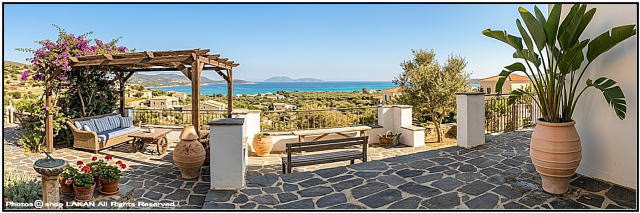 植木鉢 異国情緒 エキゾティック 