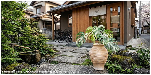 素焼き鉢 ギリシア 松尾貿易 クレタ島 