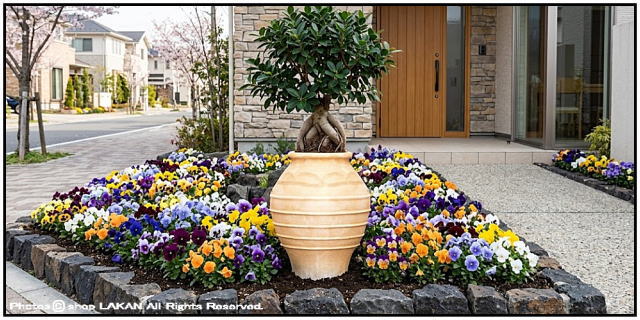 ギリシア レトロ感 クレタ島 コロニオス 