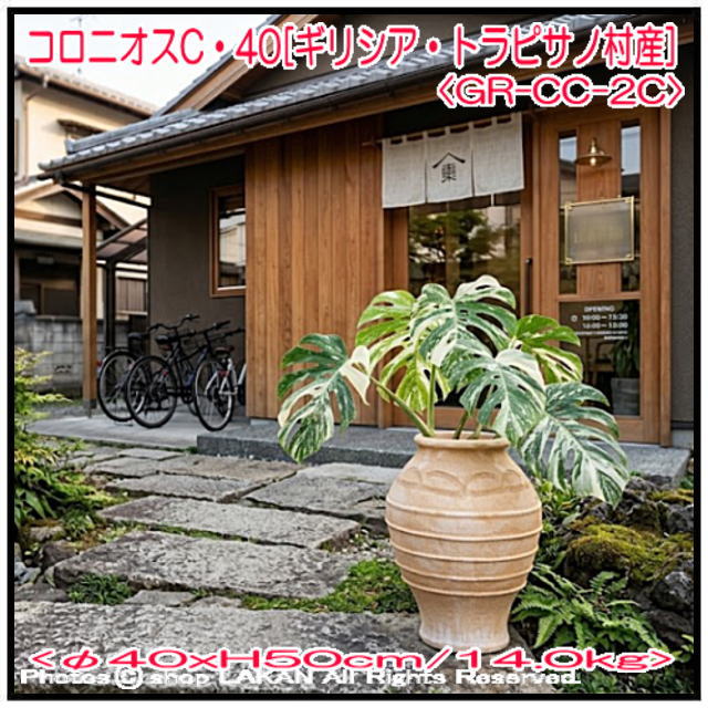 輸入 テラコッタ鉢 コロニオス 