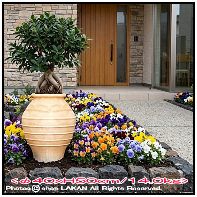 輸入 テラコッタ鉢 コロニオス 