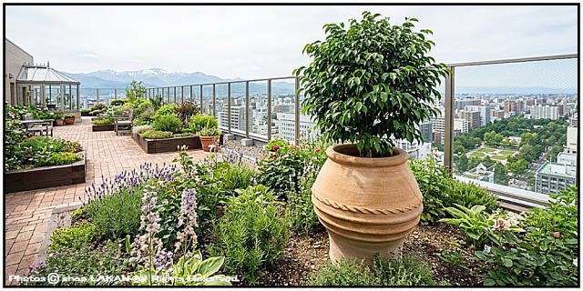 素焼き鉢 オブジェ クレタ島 アンティーク調 