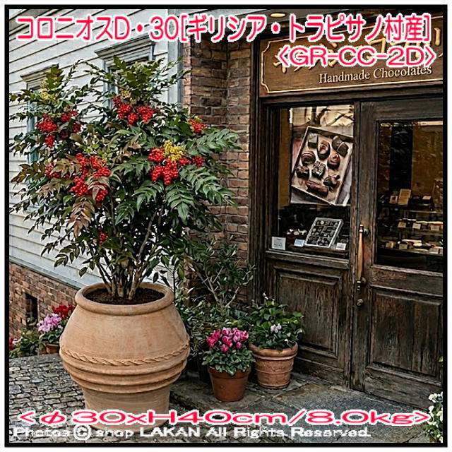 輸入 テラコッタ鉢 コロニオス 