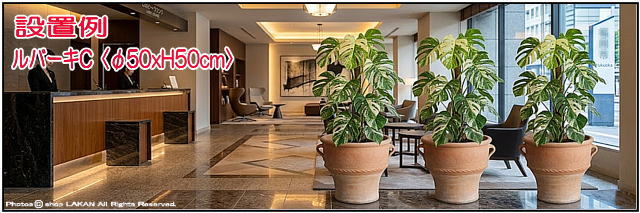 ギリシア レトロ感 クレタ島 ルバーキ 